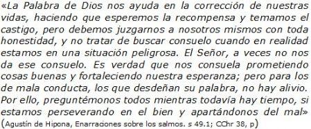 Enarraciones sobre los salmos de san Agustín